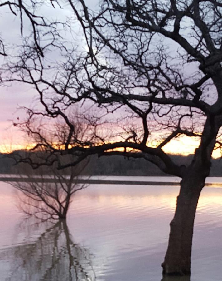 Little Elm Lake Front Cottage מראה חיצוני תמונה